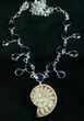 Ammonite Fossil Necklace with Amythyst #8286-1